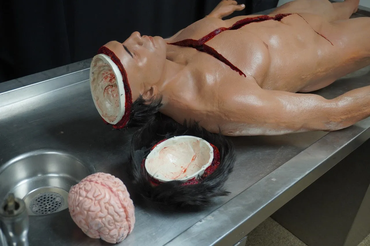 Autopsy David with Removable Skull Cap and Brain