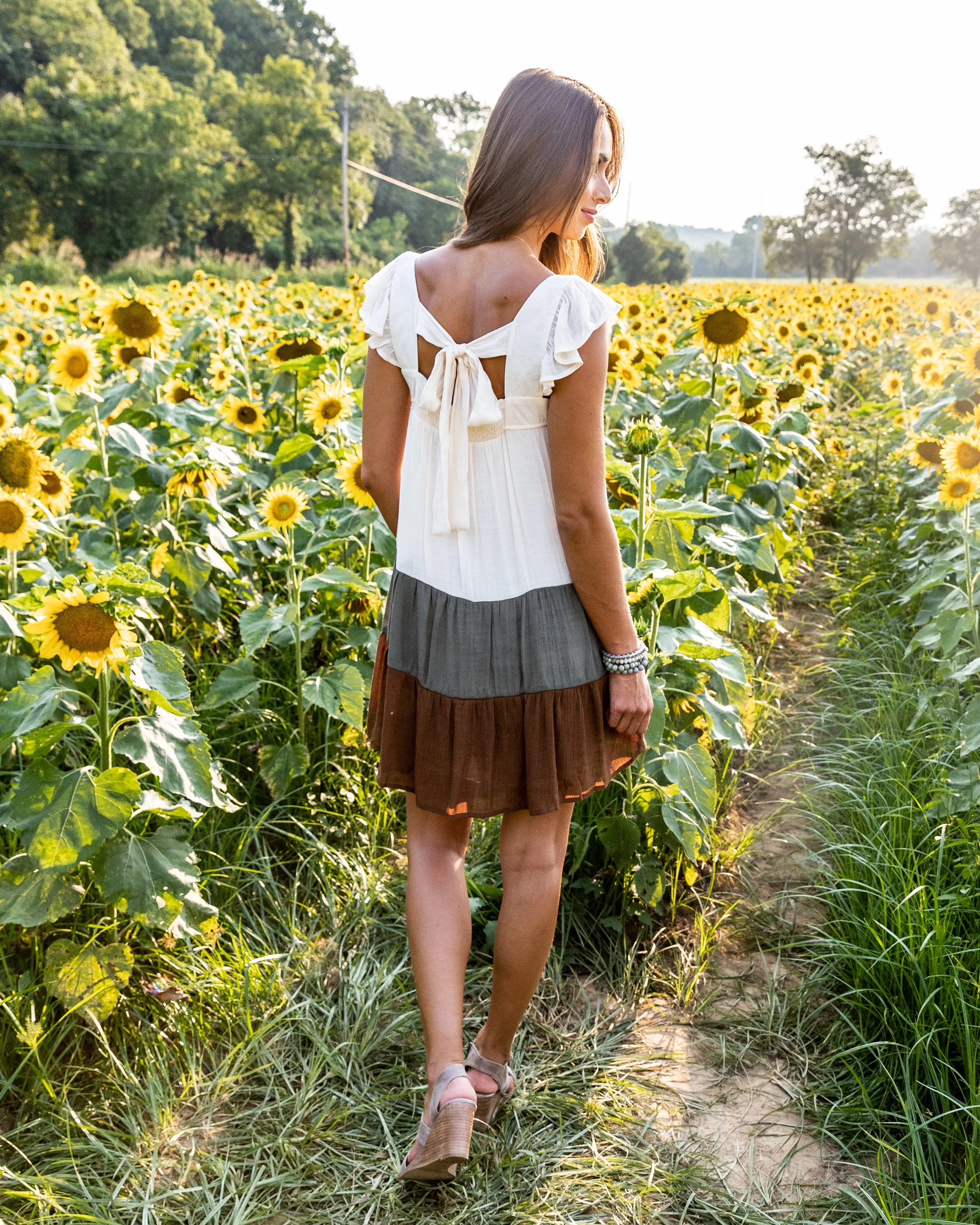 Bridget Color Block Ruffle Dress