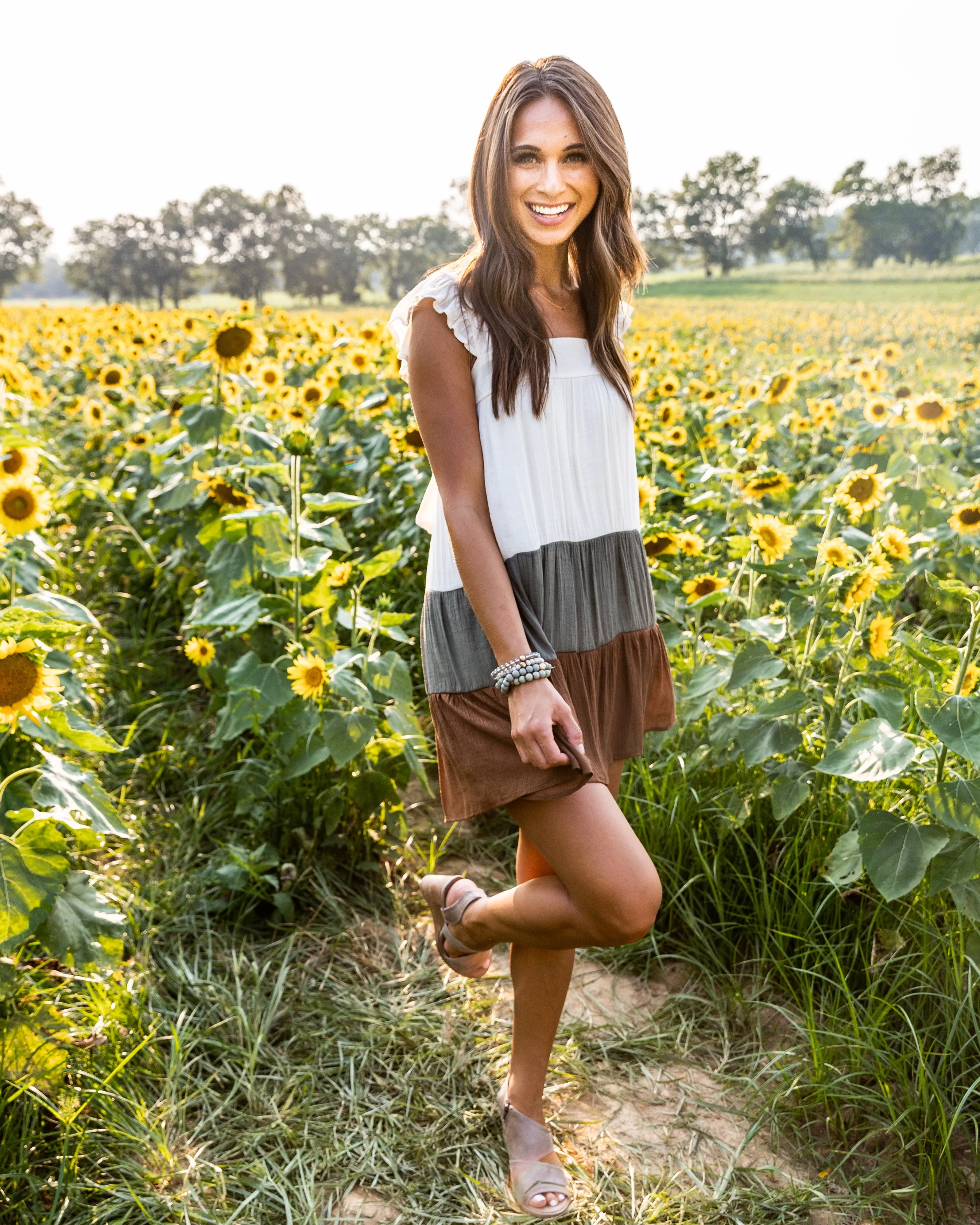 Bridget Color Block Ruffle Dress