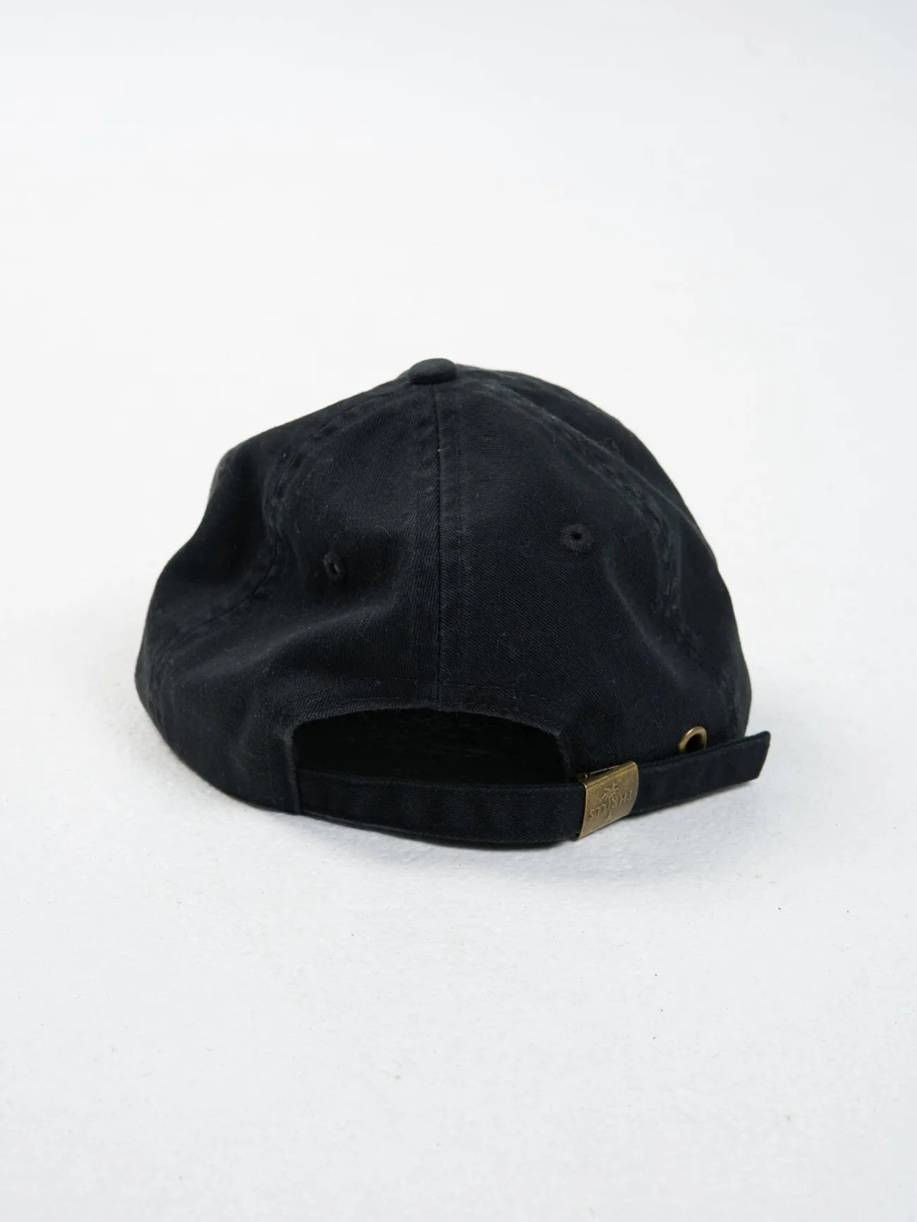 Gravitating Naturally Panel Cap - Merch Black