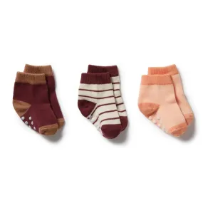 Wilson And Frenchy 3 Pack Baby Socks - Flamingo / Wild Ginger / Burro